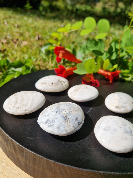 Galet Jaspe zèbre (à choisir)