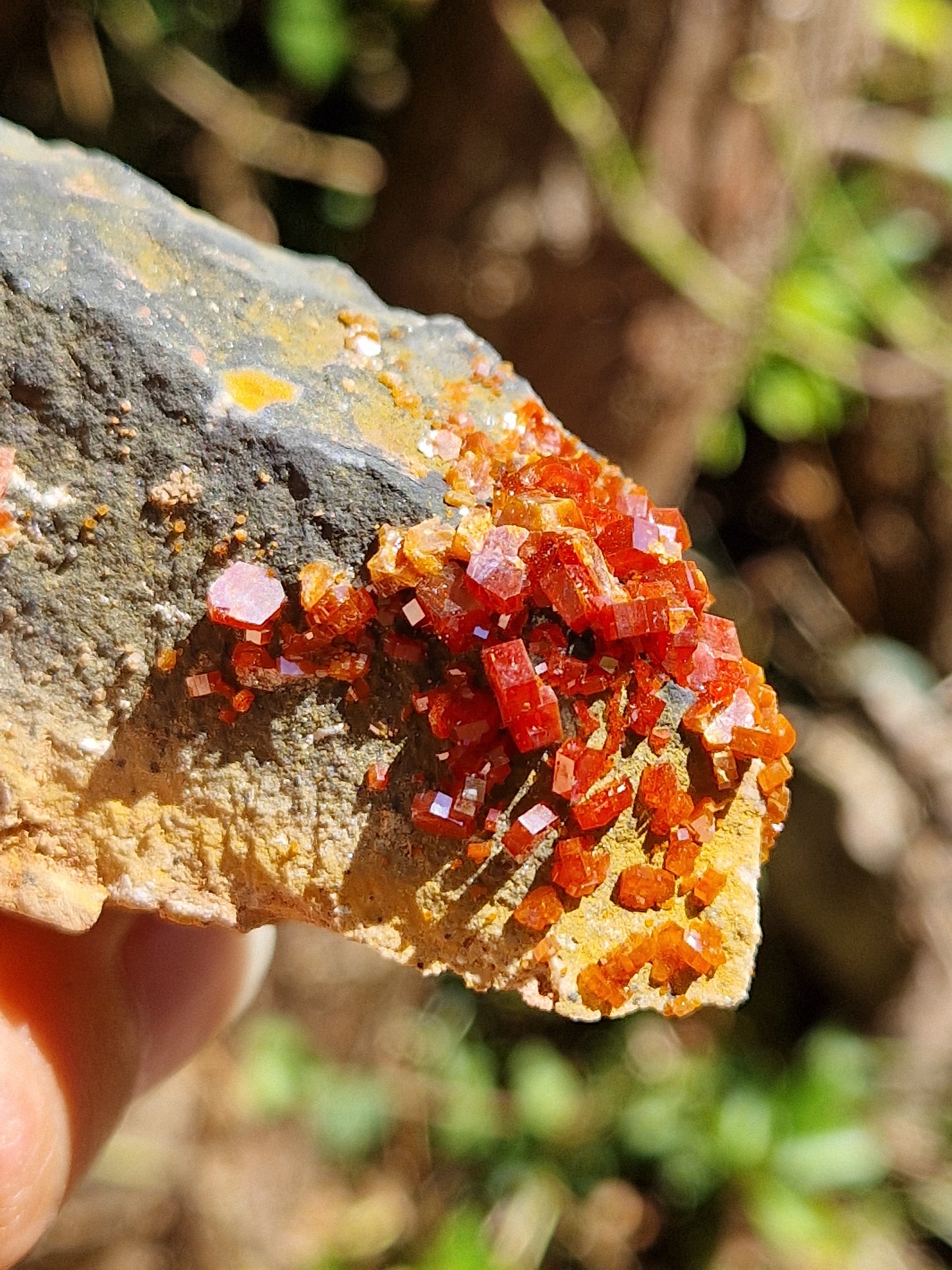 Vanadinite brute