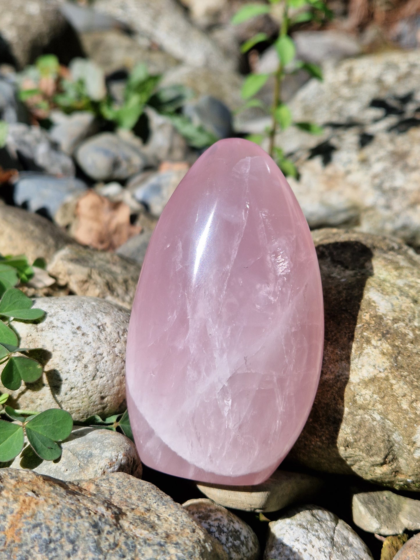 Forme Libre Quartz rose