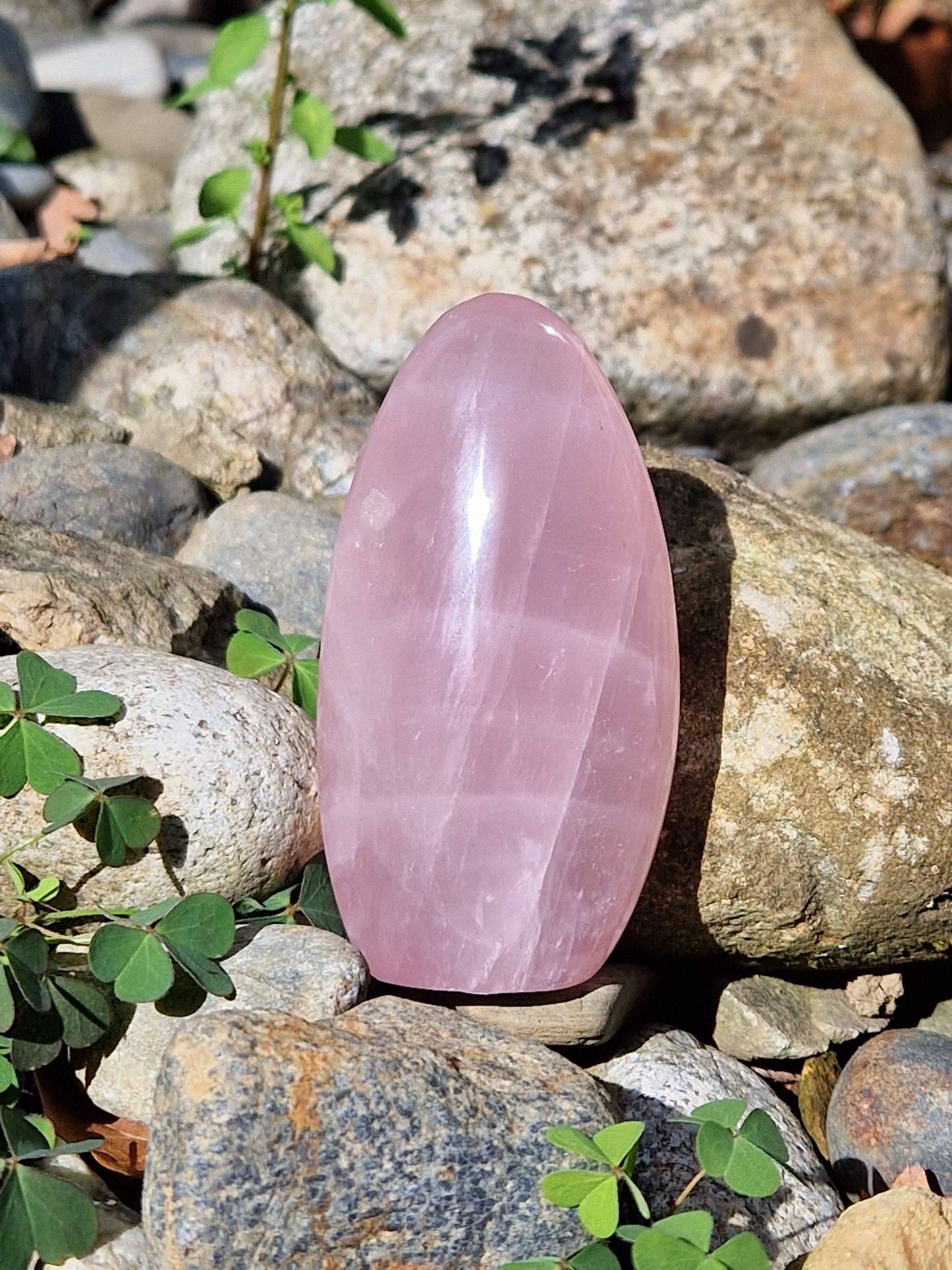 Forme Libre Quartz rose