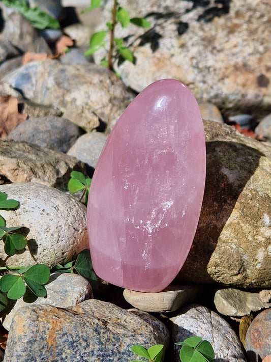 Forme Libre Quartz rose