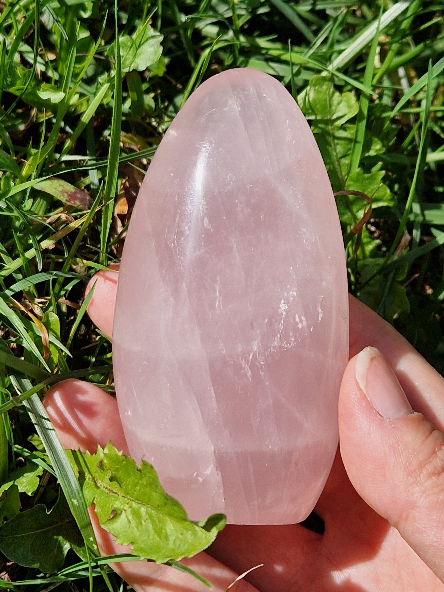 Forme Libre Quartz rose