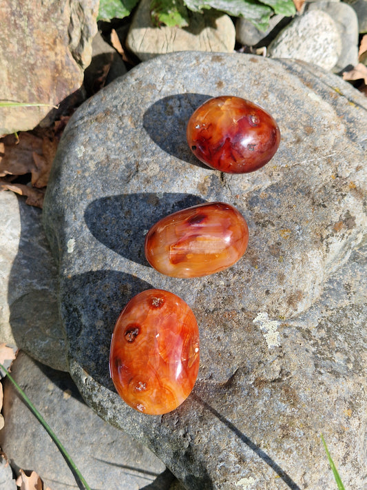 Galet Cornaline (à choisir)