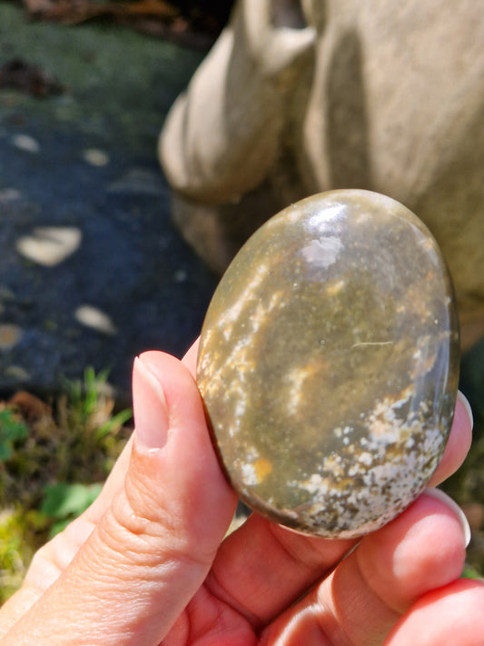 Galet Jaspe Orbiculaire (à choisir)