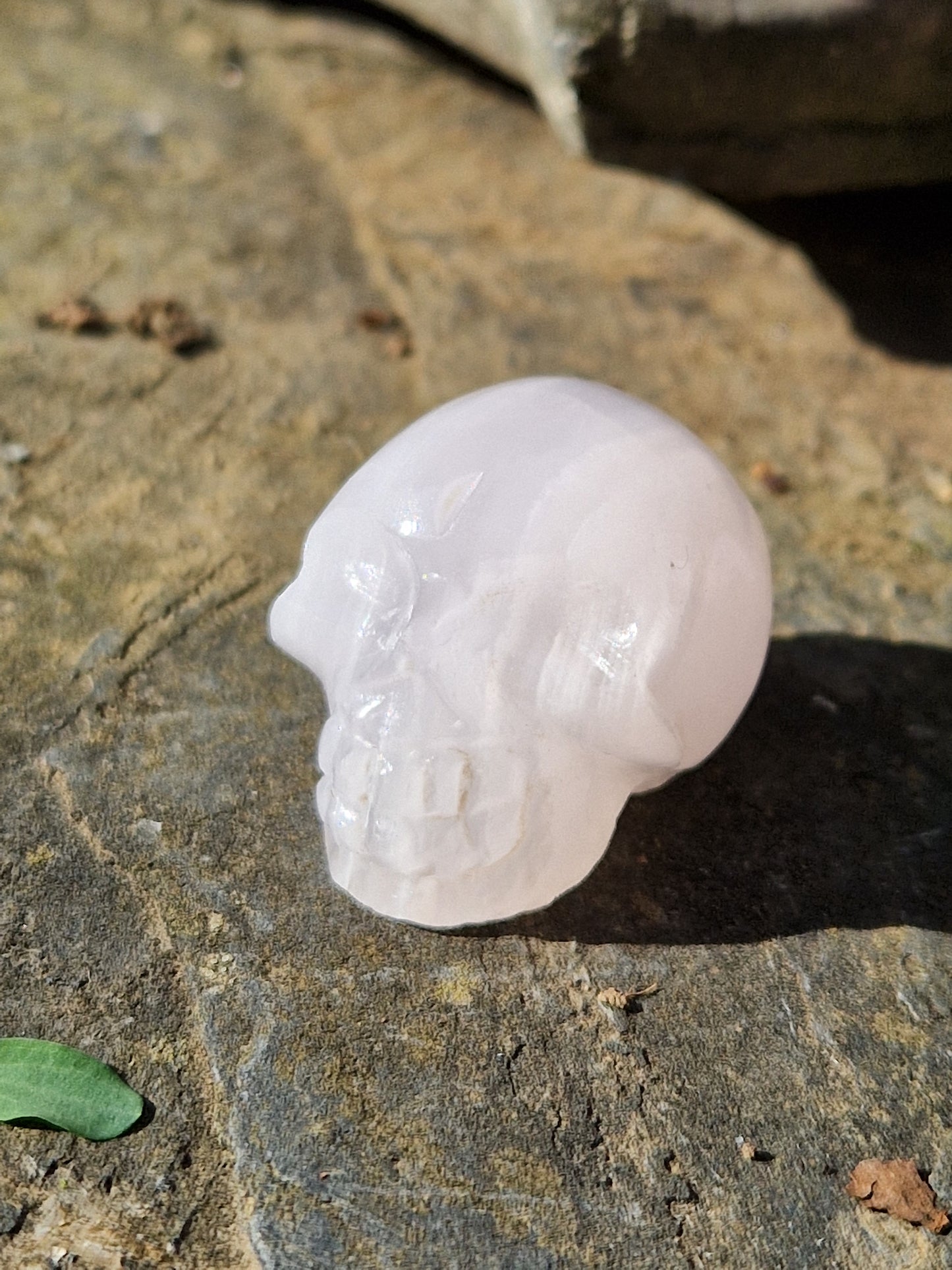 Crâne Manganocalcite A