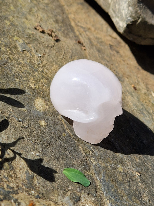 Crâne Manganocalcite A