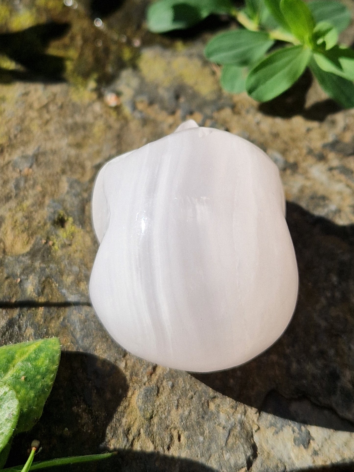 Crâne Manganocalcite A