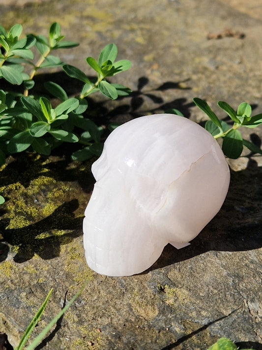 Crâne Manganocalcite C