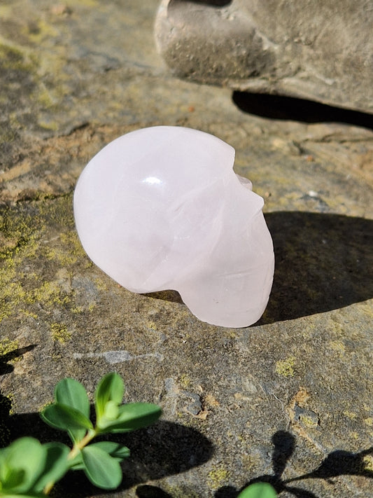 Crâne Manganocalcite D