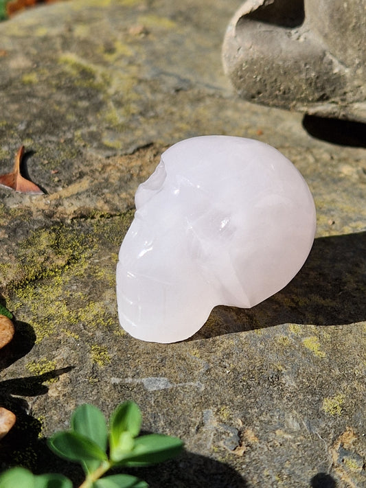 Crâne Manganocalcite D