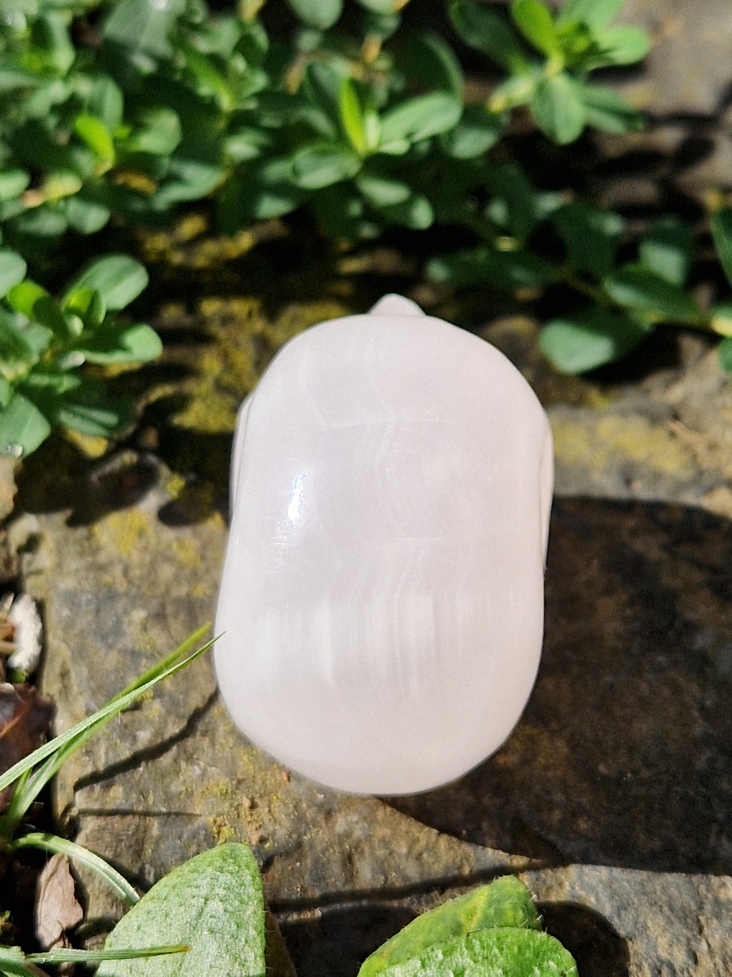 Crâne Manganocalcite D