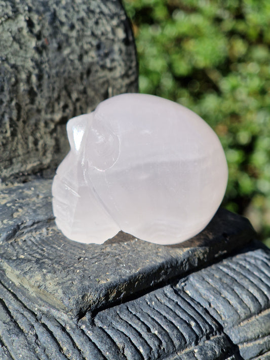 Crâne Manganocalcite F