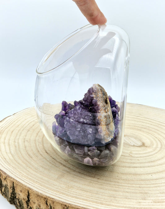 Terrarium bol mural suspendu