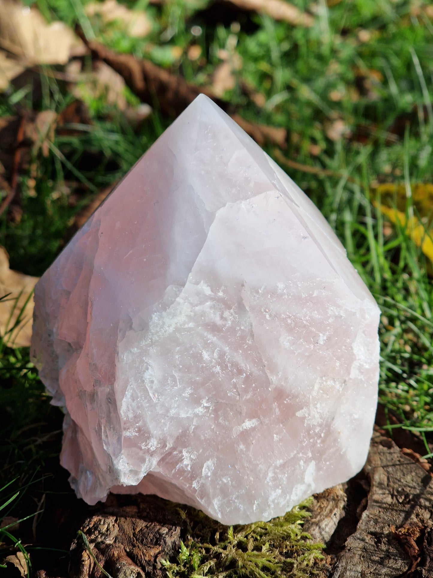 Pointe brute semi polie Quartz rose