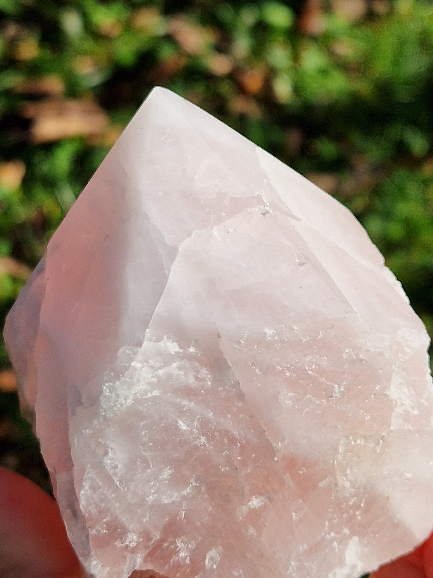 Pointe brute semi polie Quartz rose