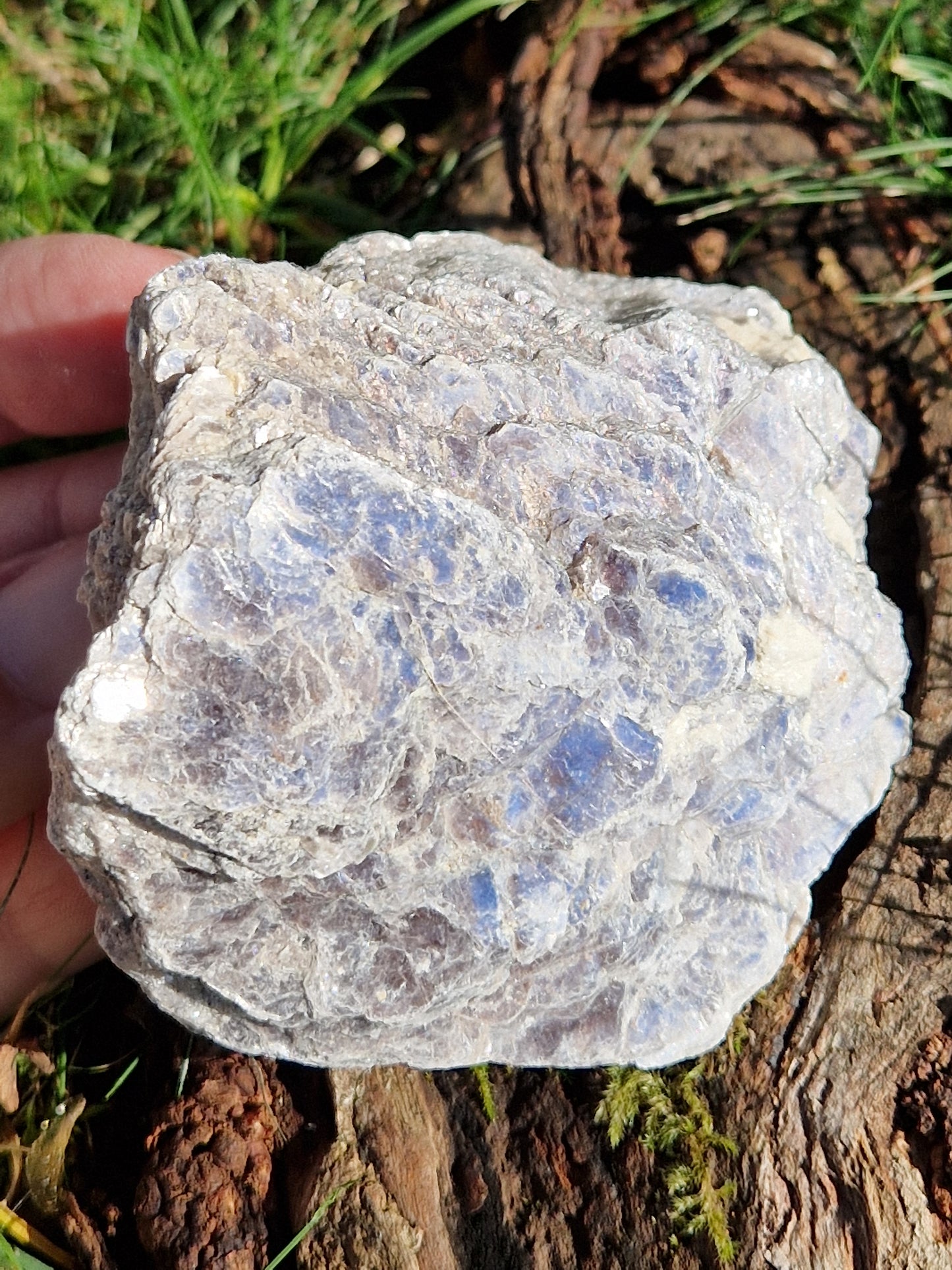 Lépidolite (lame de clivage)