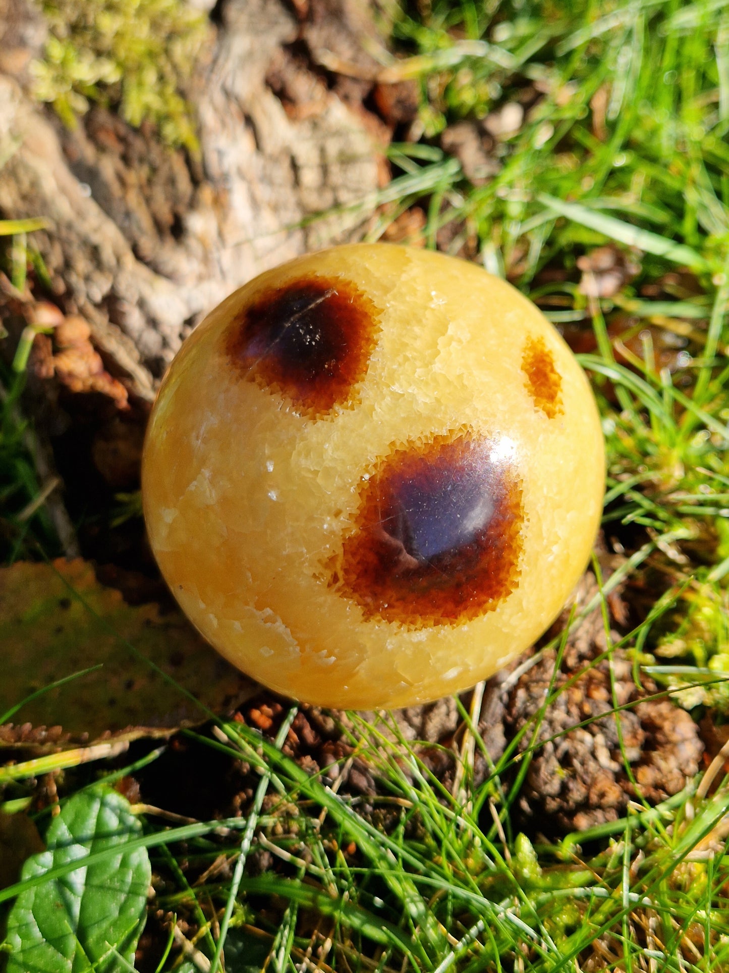 Sphère Septaria
