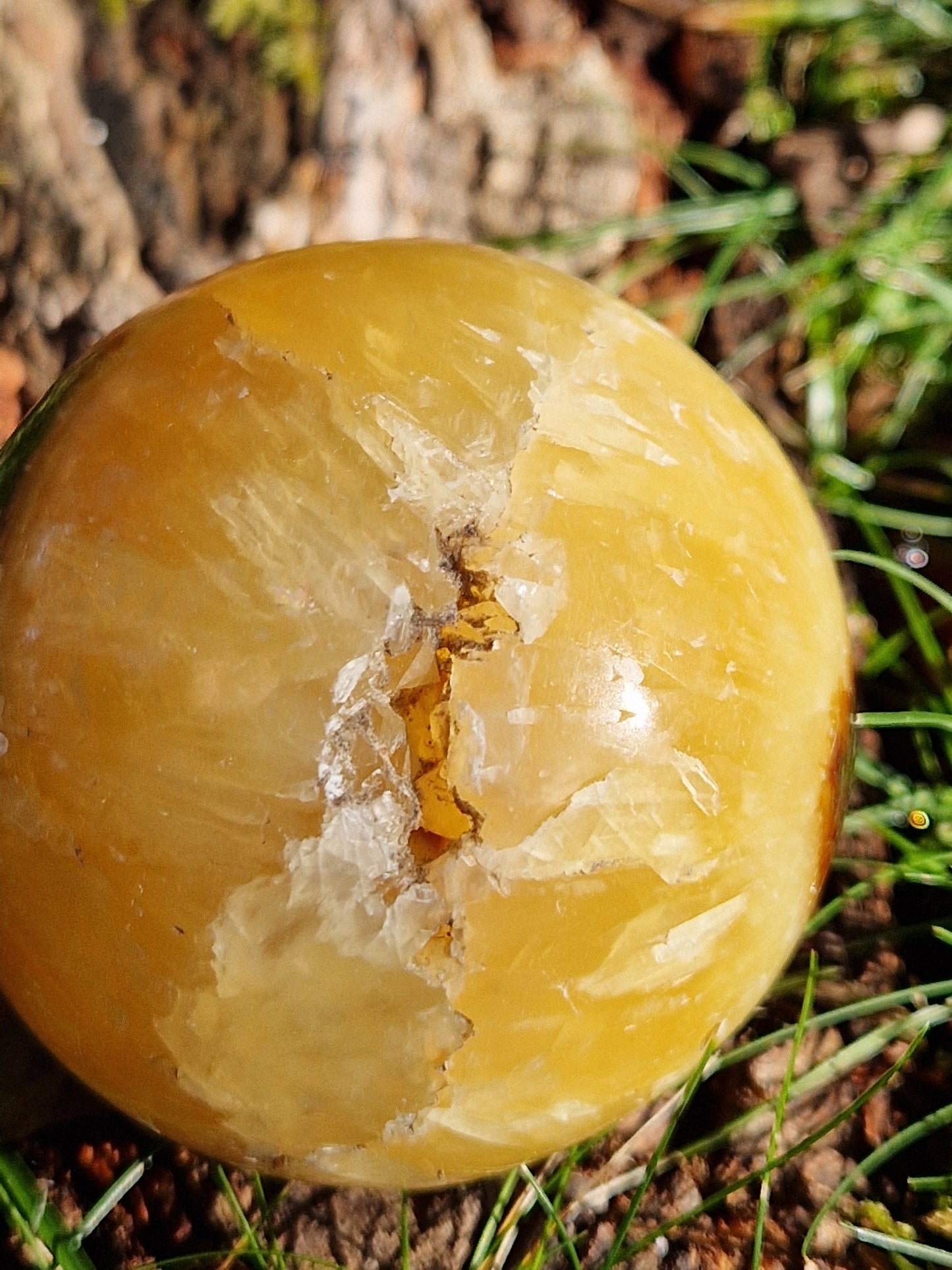 Sphère Septaria