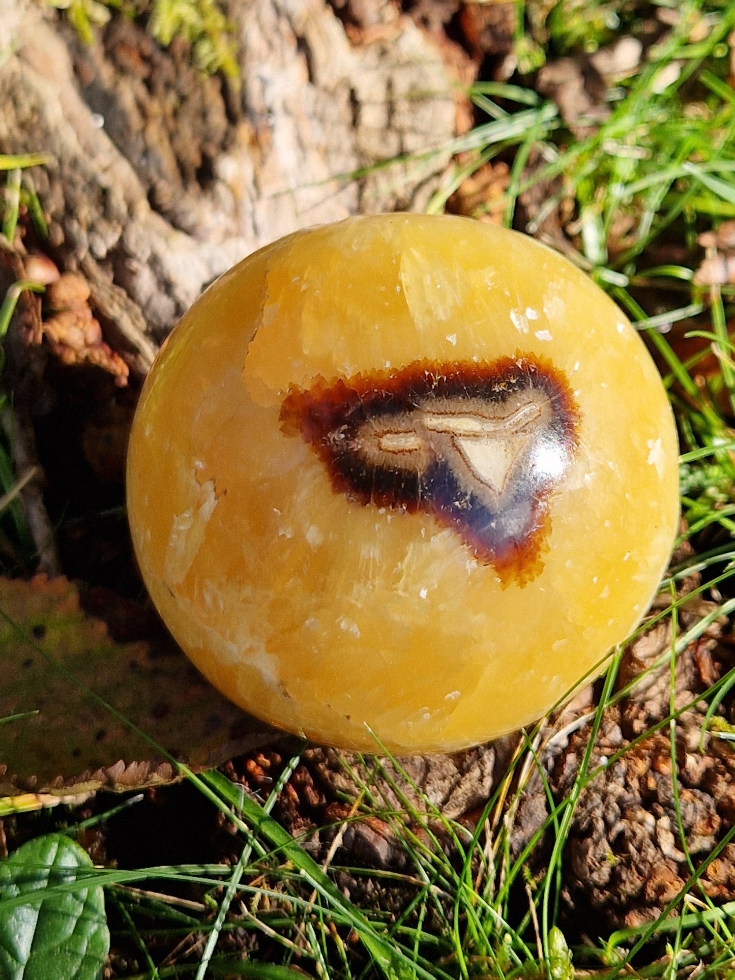 Sphère Septaria