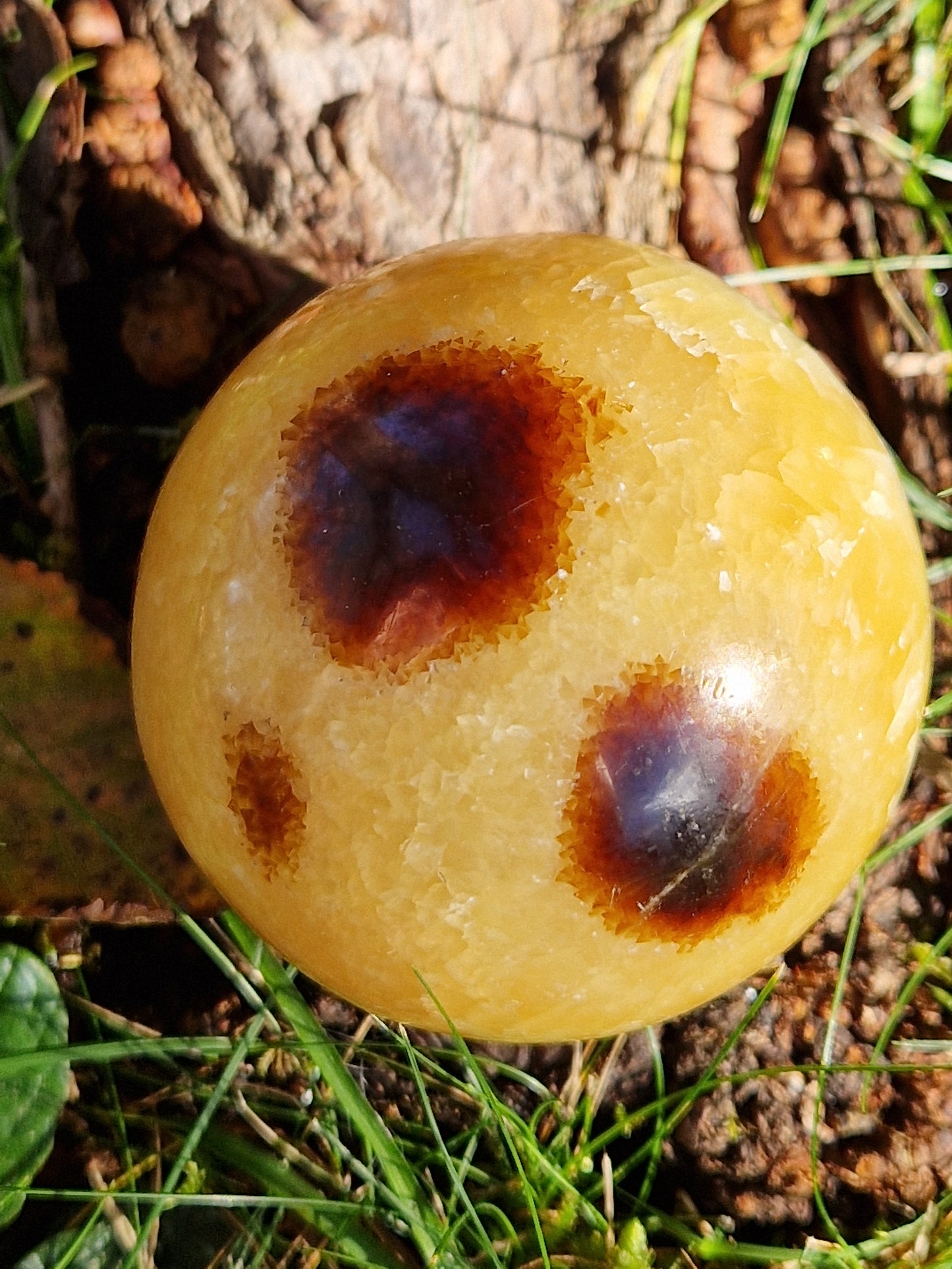 Sphère Septaria