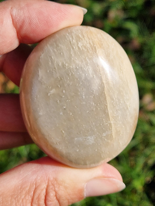 Galet Pierre de Lune (à choisir)