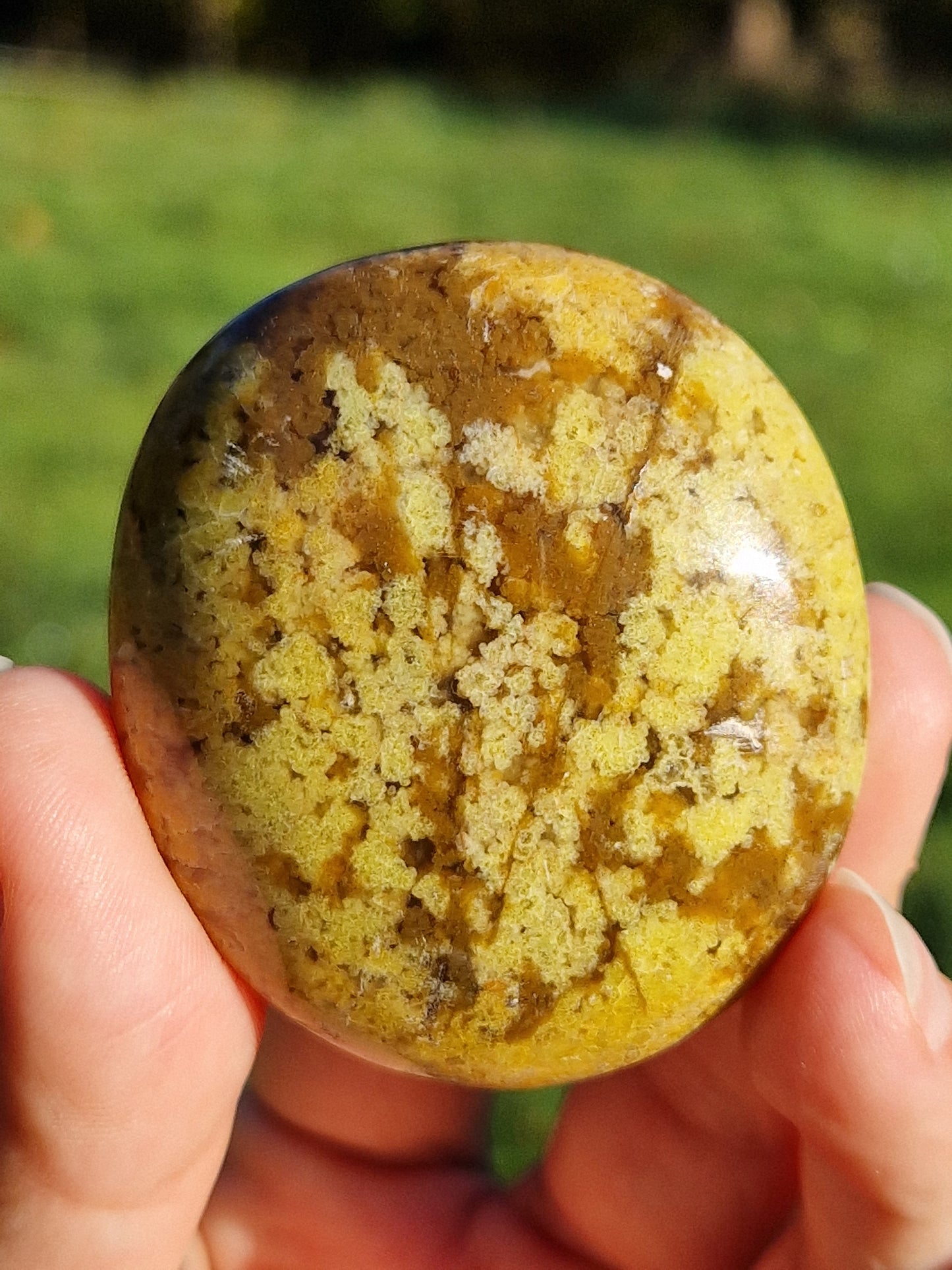 Galet Opale Calcédoine (à choisir)