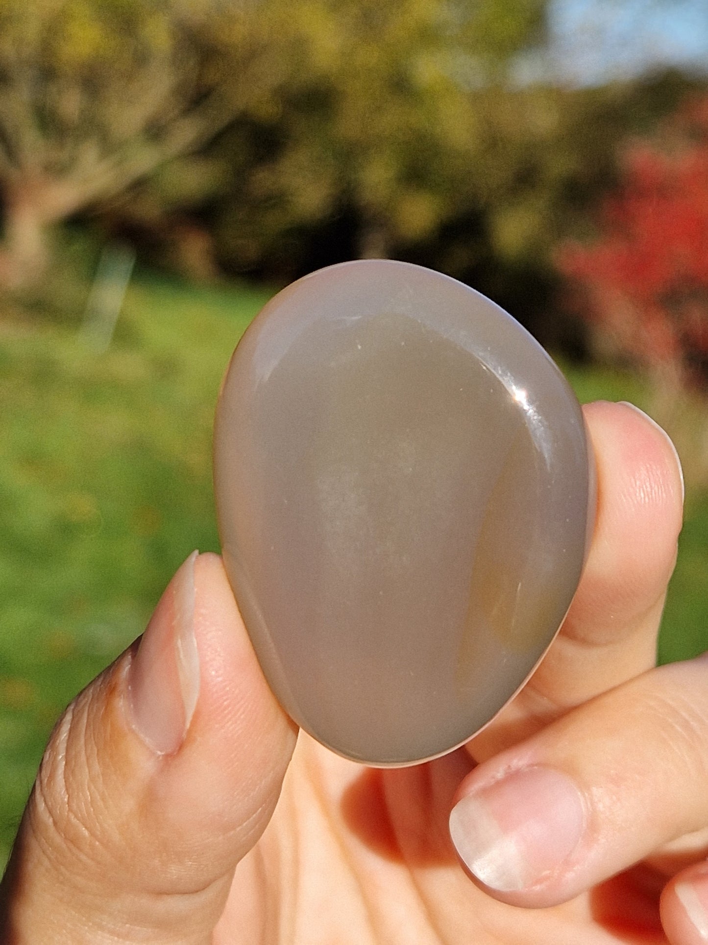 Galet Plat Agate (à choisir)