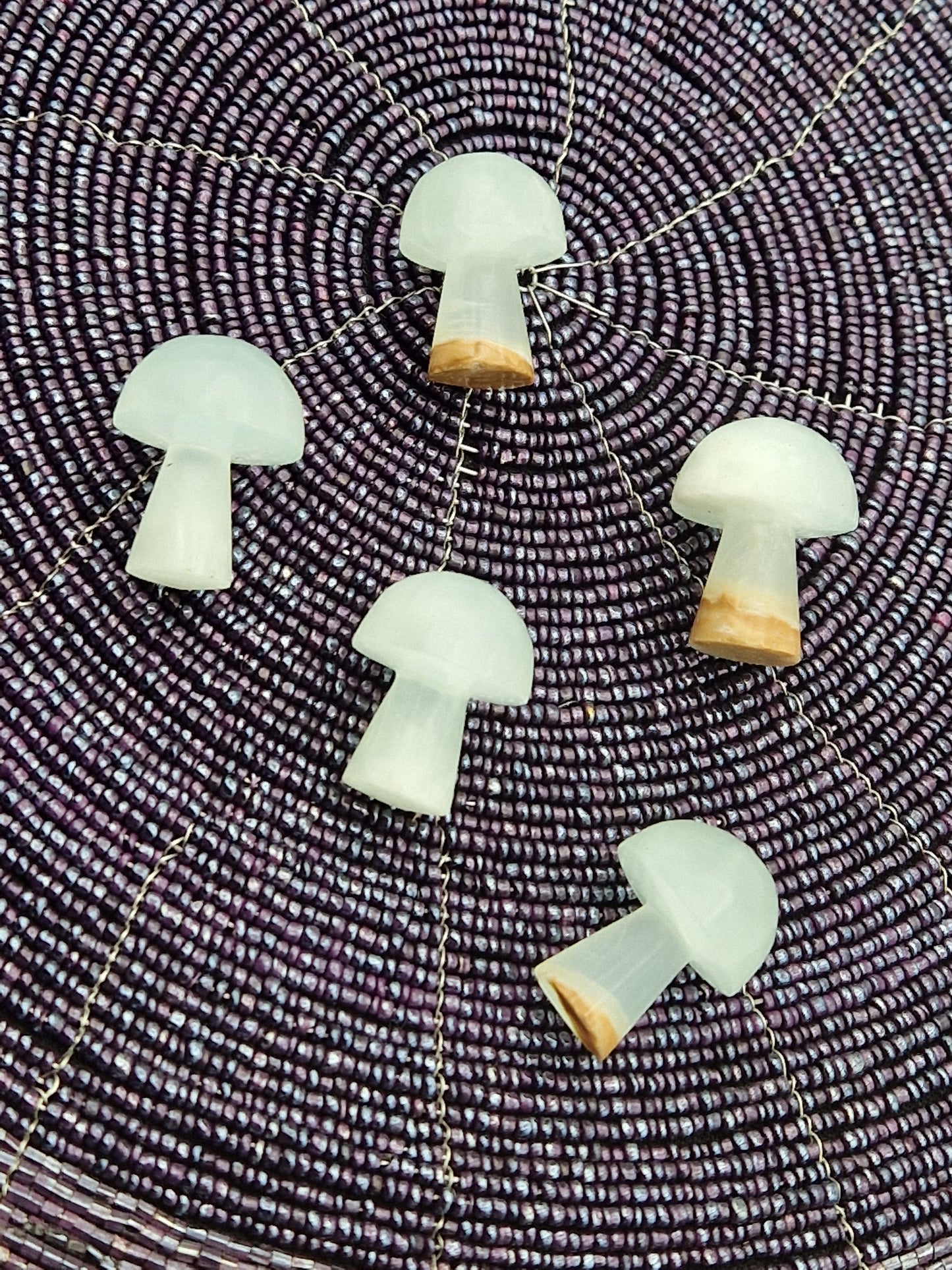 Champignon calcite caraïbes