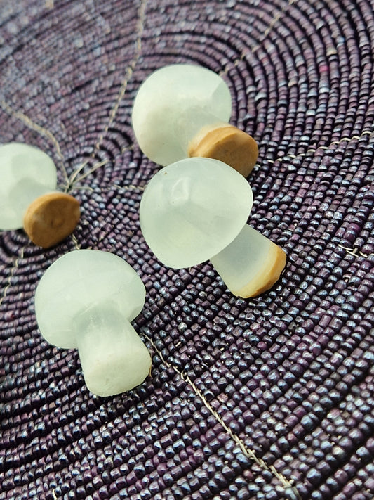 Champignon calcite caraïbes