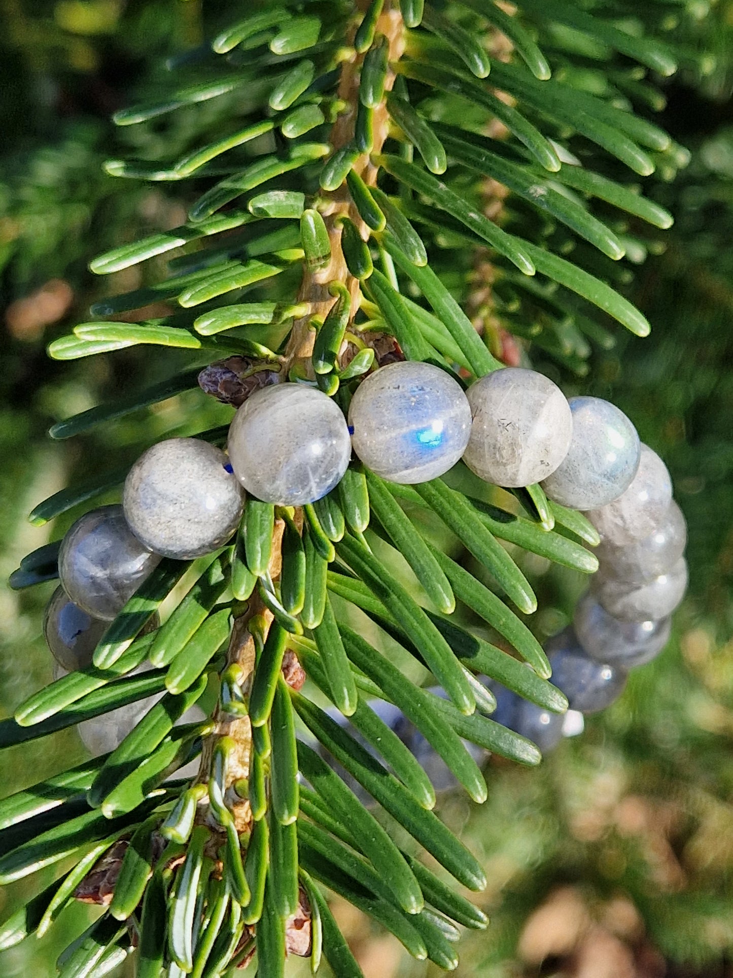 Bracelet Labradorite (4 tailles)