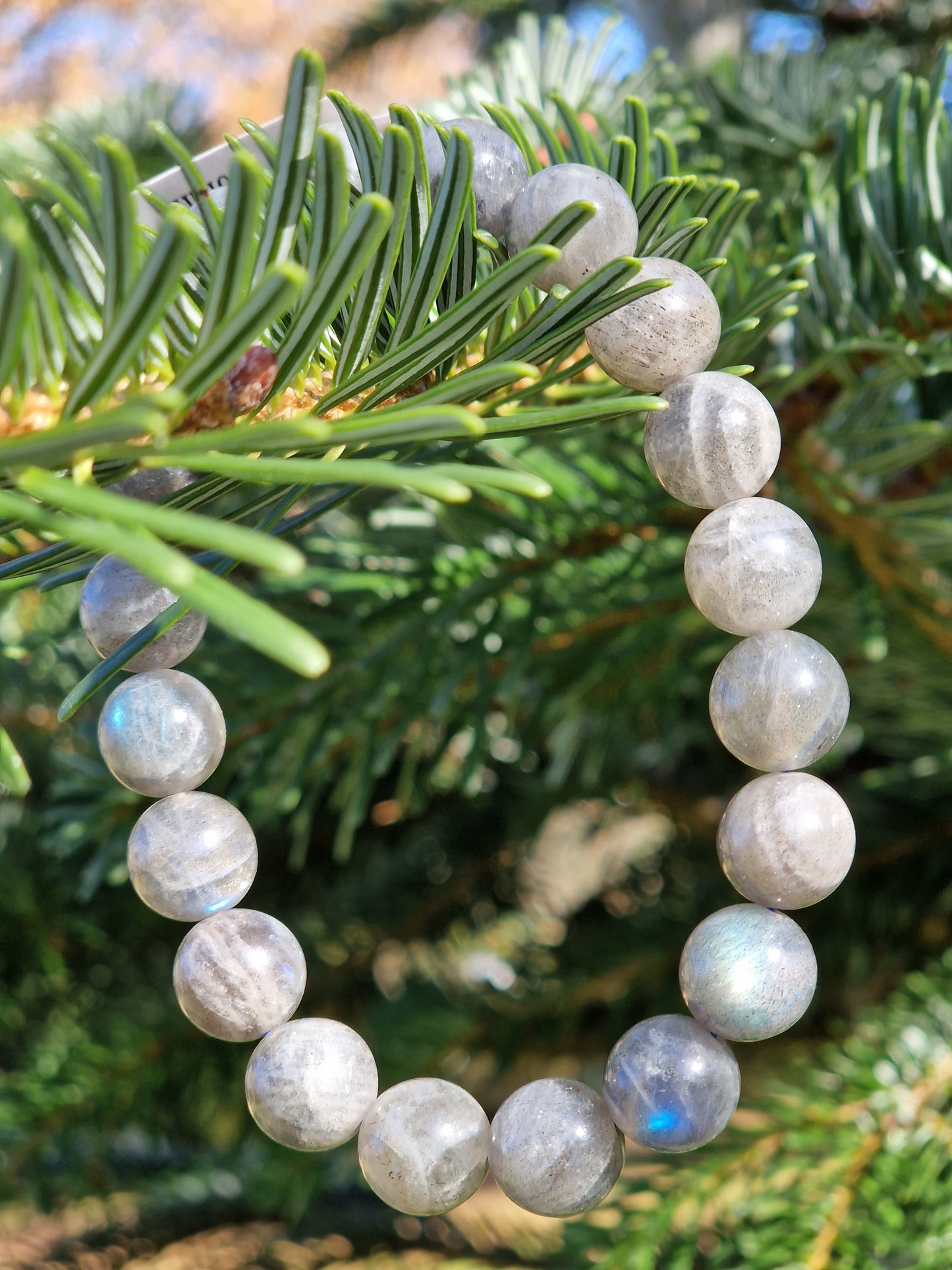 Bracelet Labradorite (4 tailles)