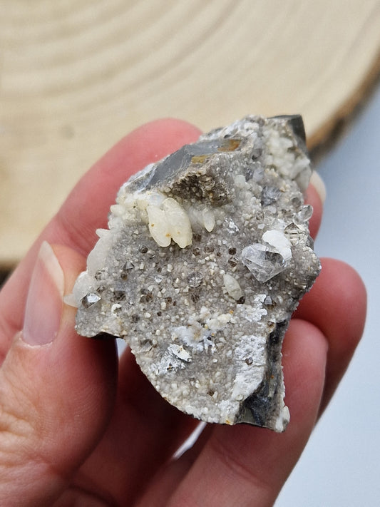 Septaria français brut