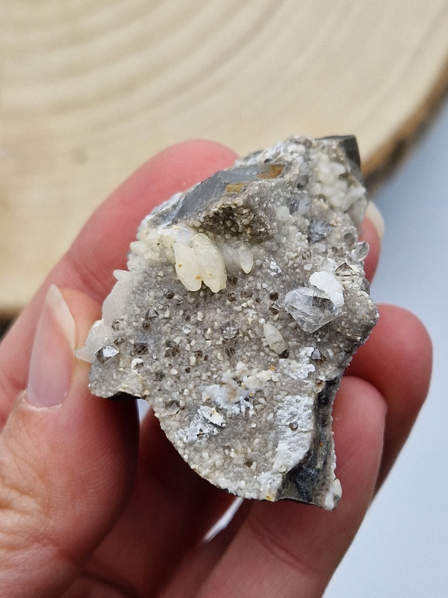Septaria française brute D