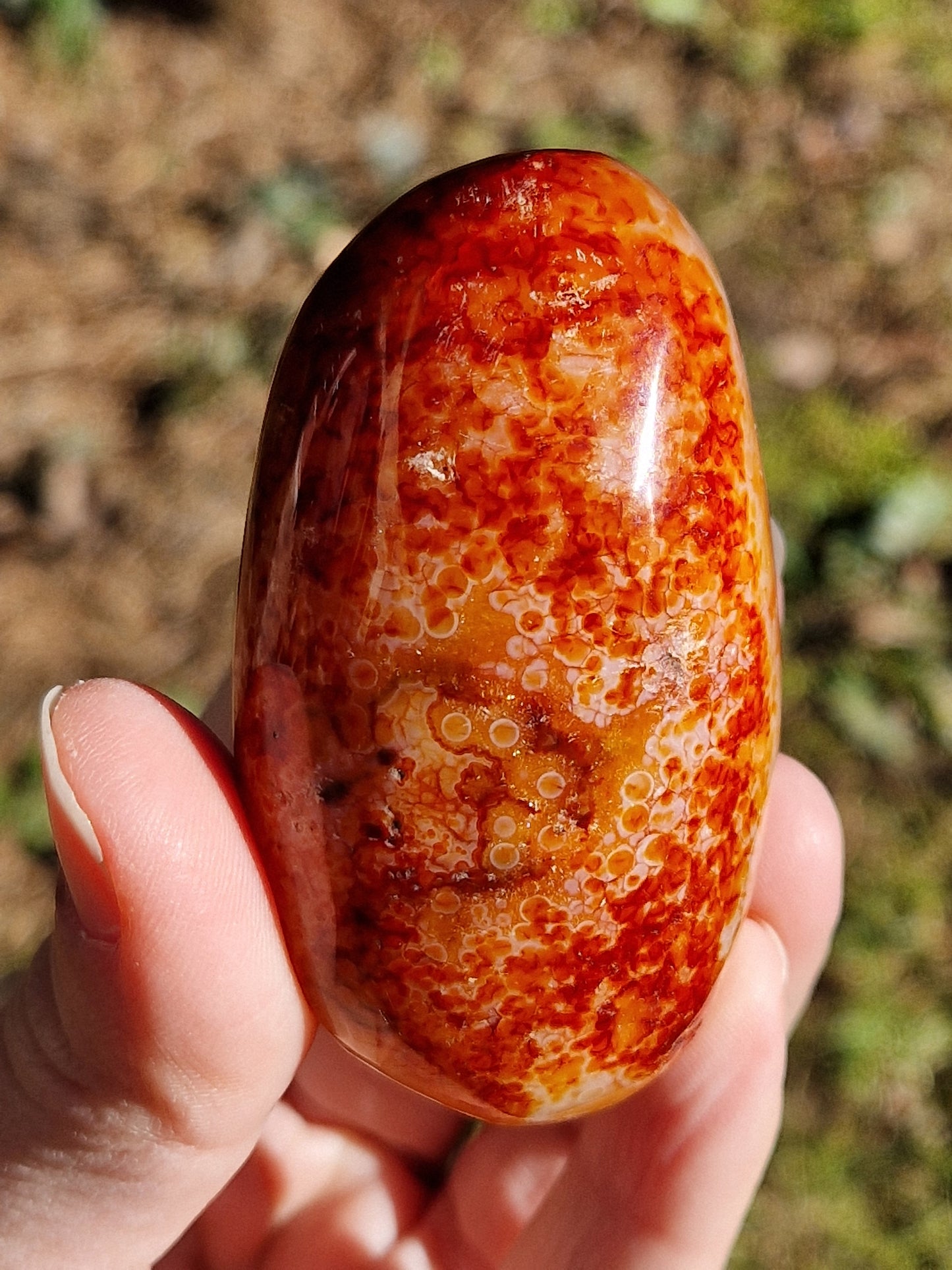 Galet Cornaline (à choisir)