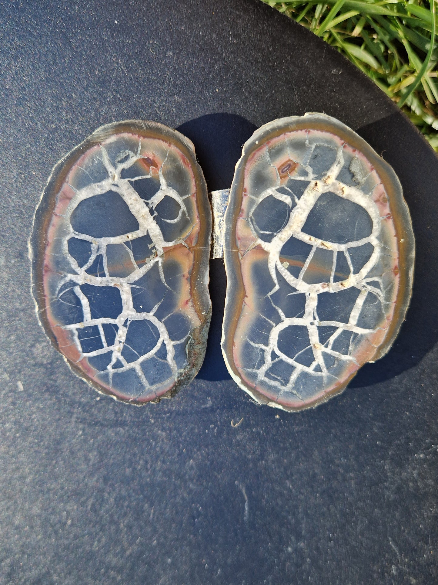 Nodules de Septaria (à choisir)