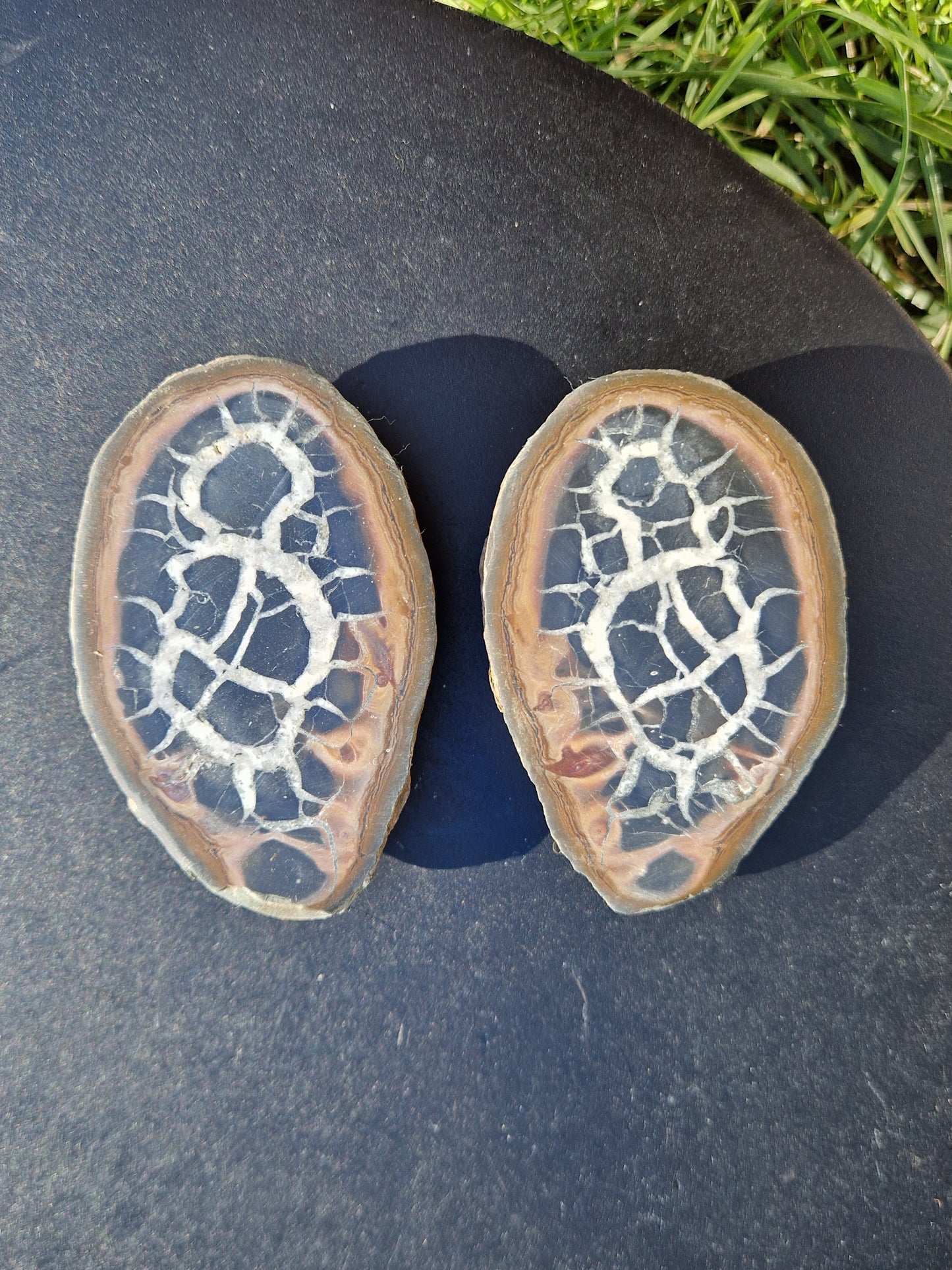 Nodules de Septaria (à choisir)