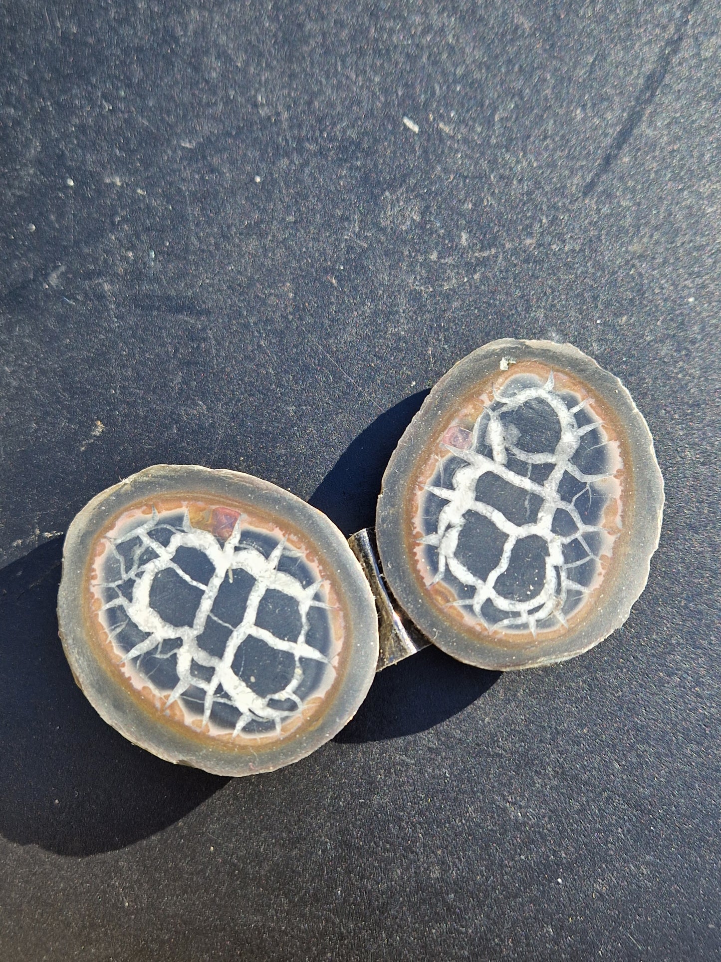 Nodules de Septaria (à choisir)
