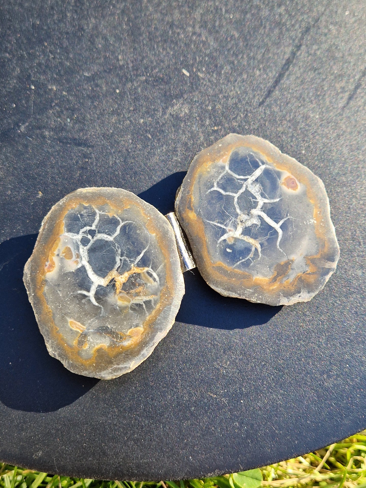 Nodules de Septaria (à choisir)