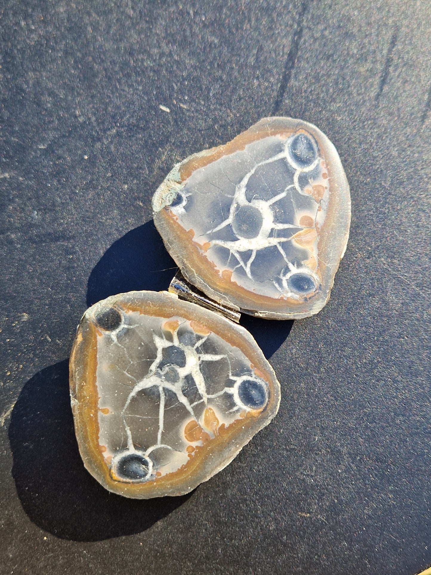 Nodules de Septaria (à choisir)