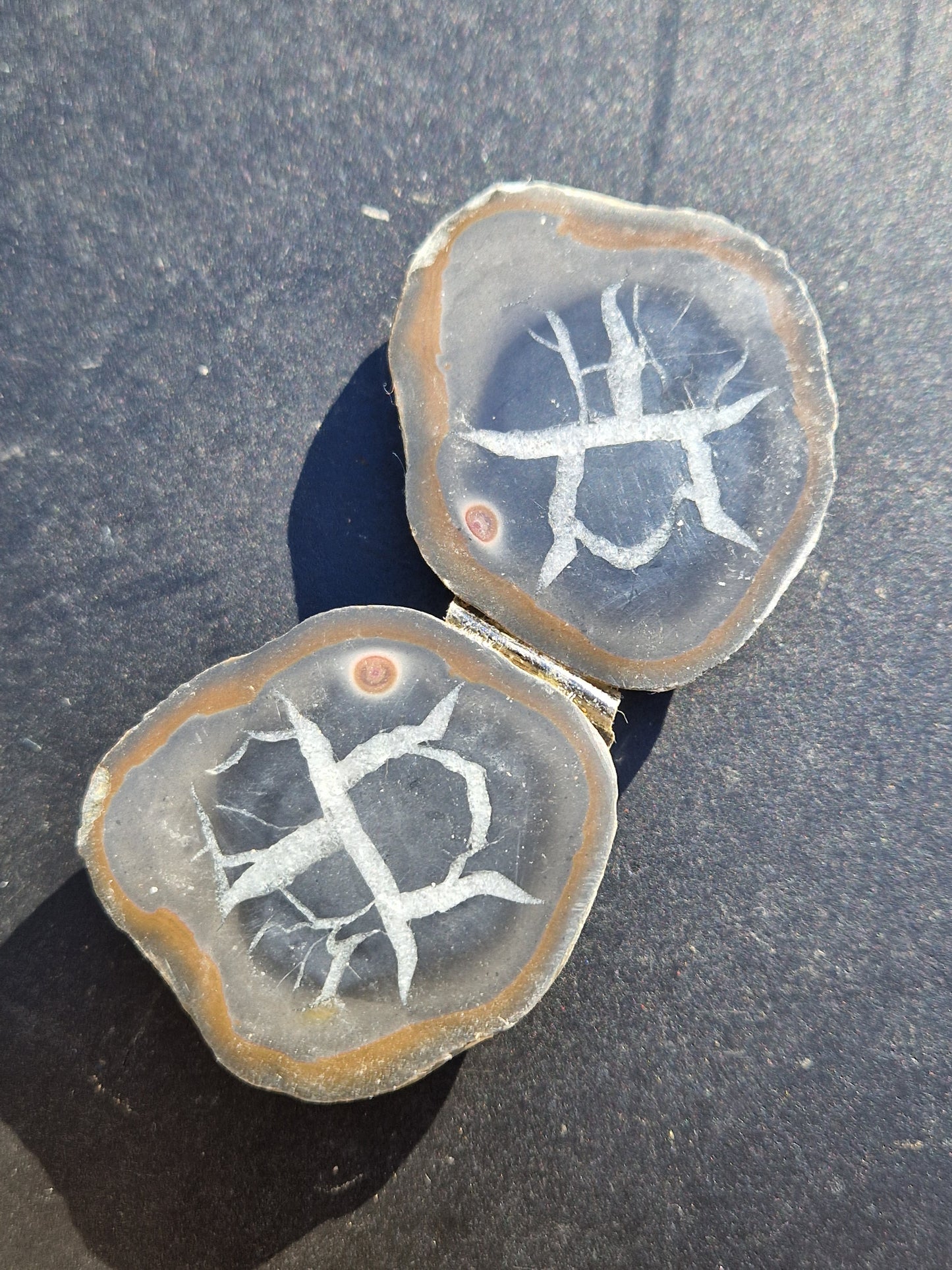 Nodules de Septaria (à choisir)