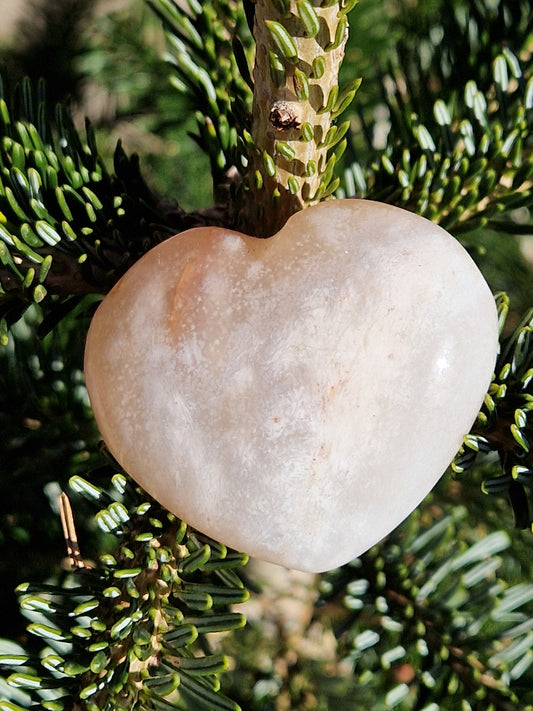 Cœur Agate fleurs de cerisier D