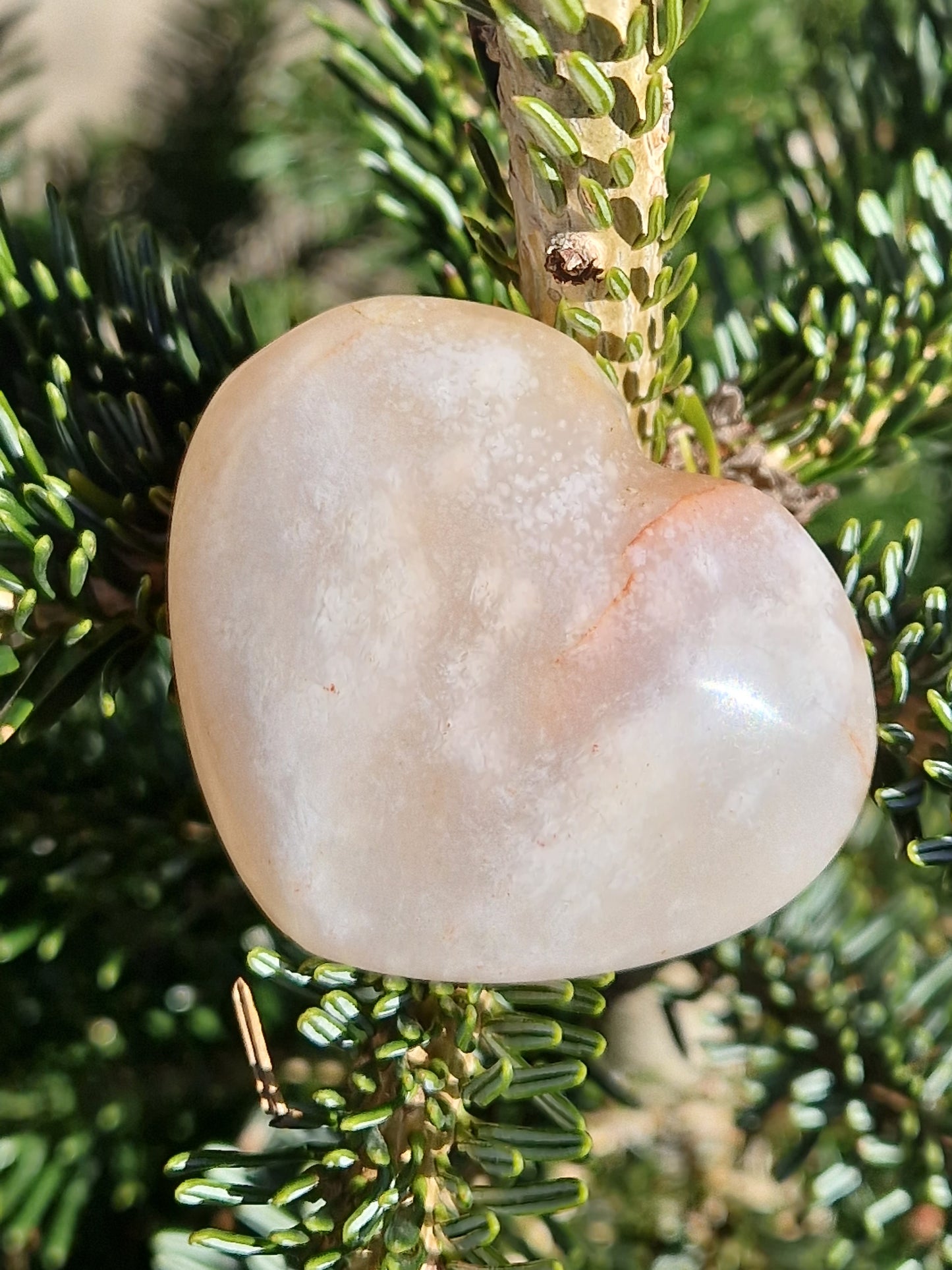 Cœur Agate fleurs de cerisier D