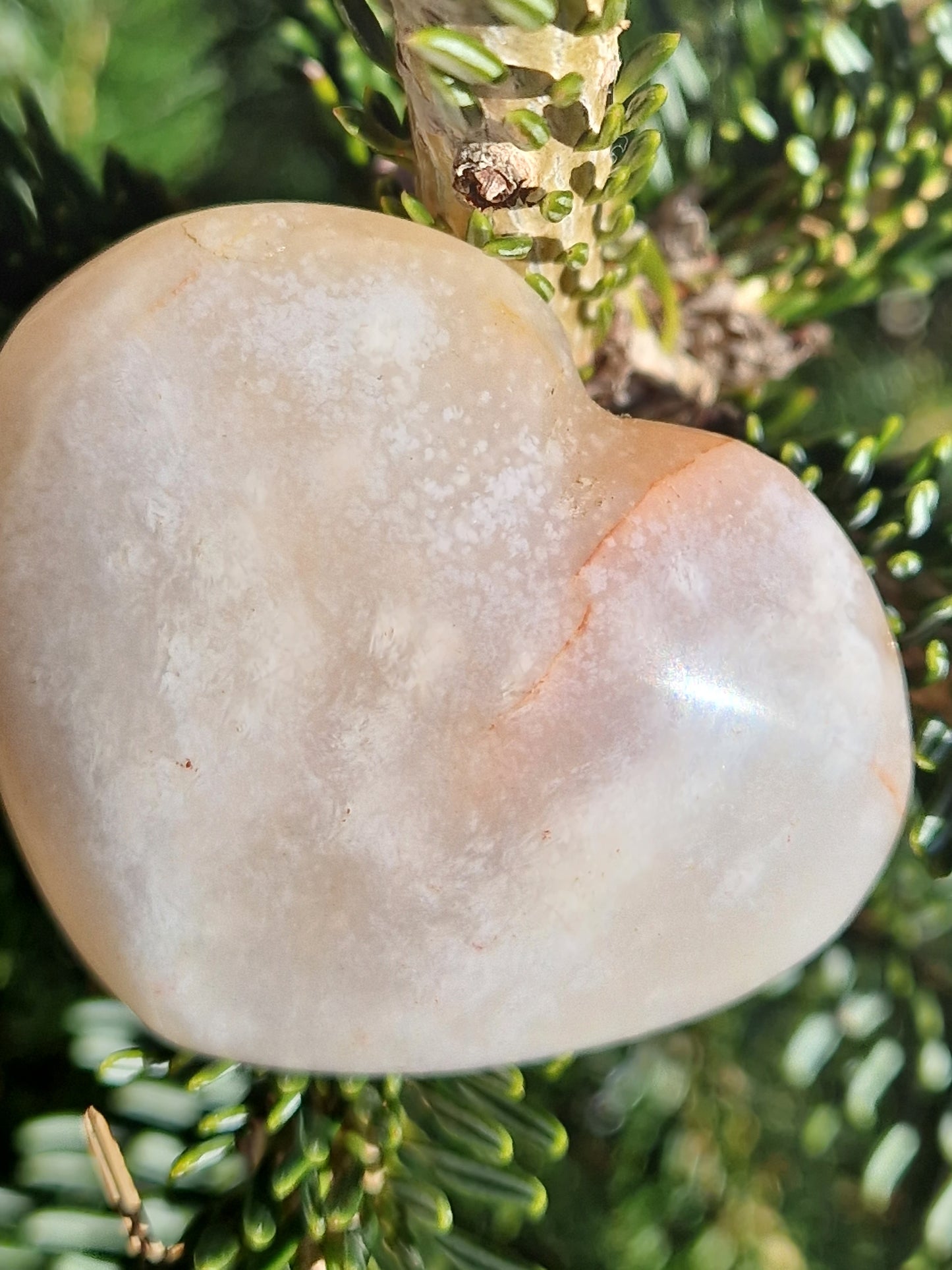 Cœur Agate fleurs de cerisier D