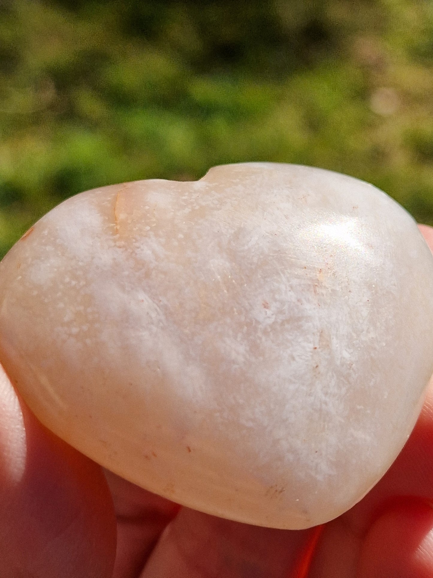 Cœur Agate fleurs de cerisier D