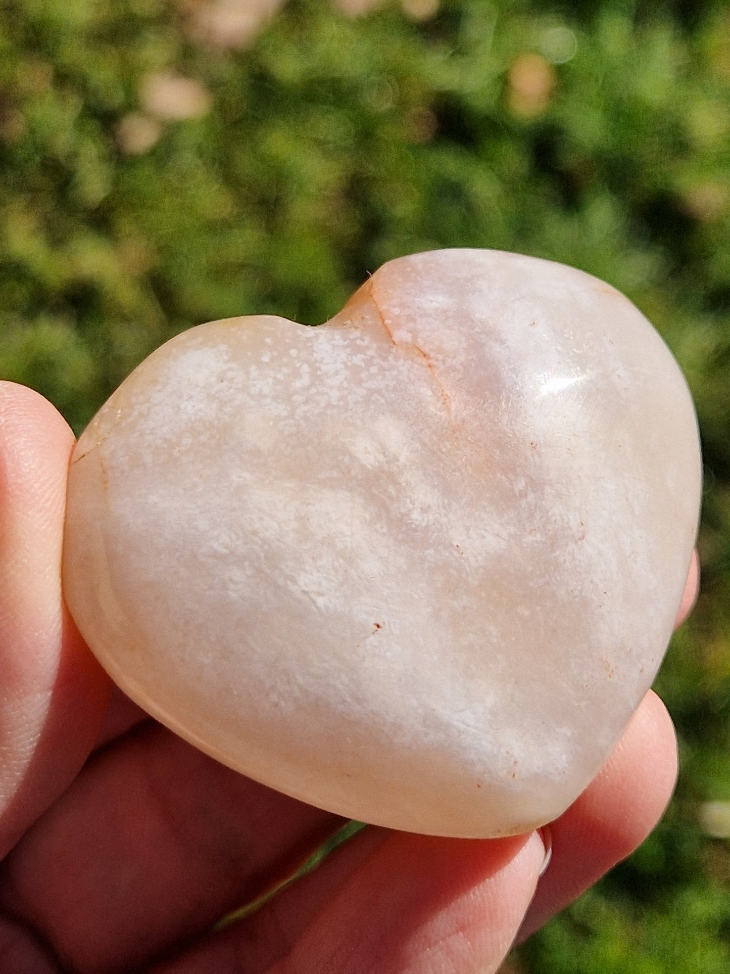 Cœur Agate fleurs de cerisier D