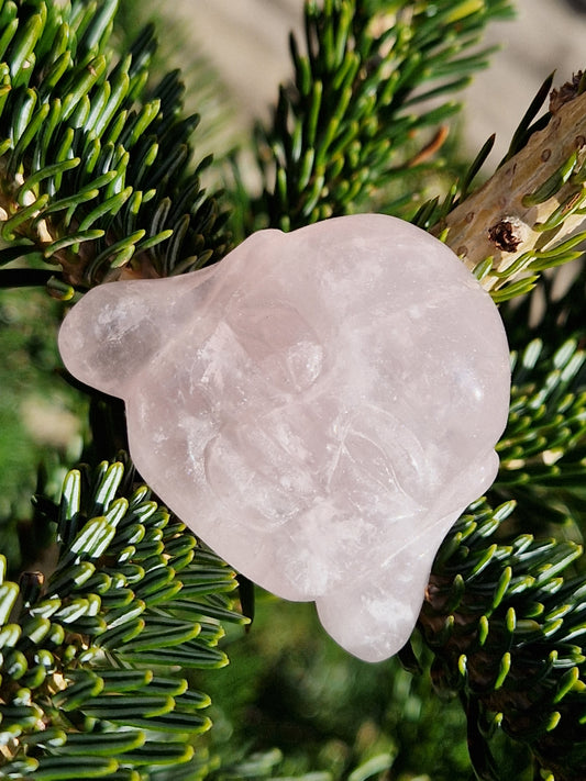 Tête de Bouddha Quartz rose