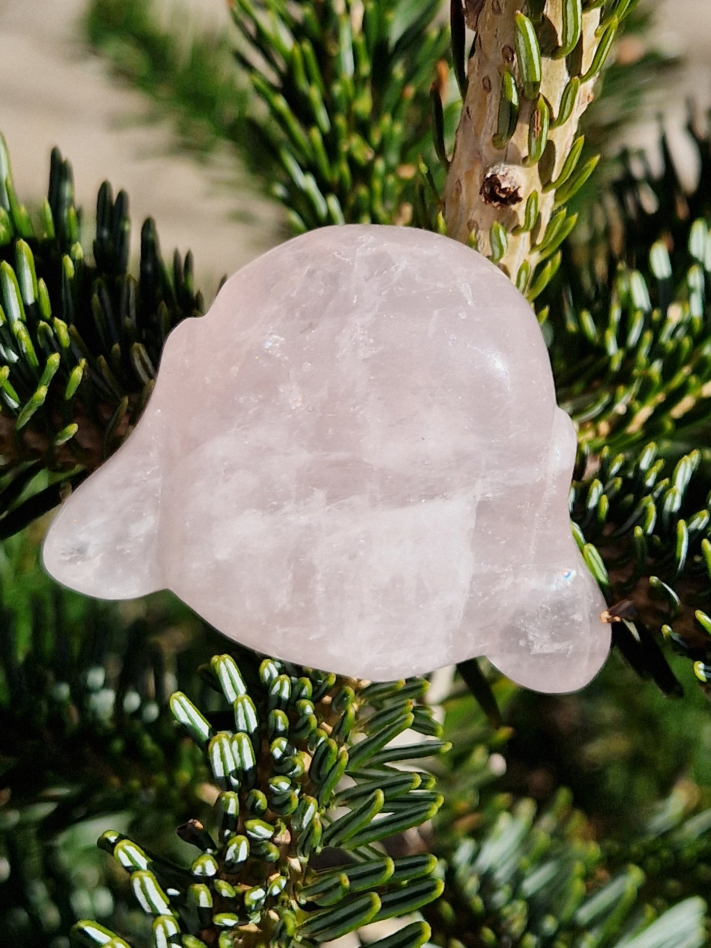 Tête de Bouddha Quartz rose