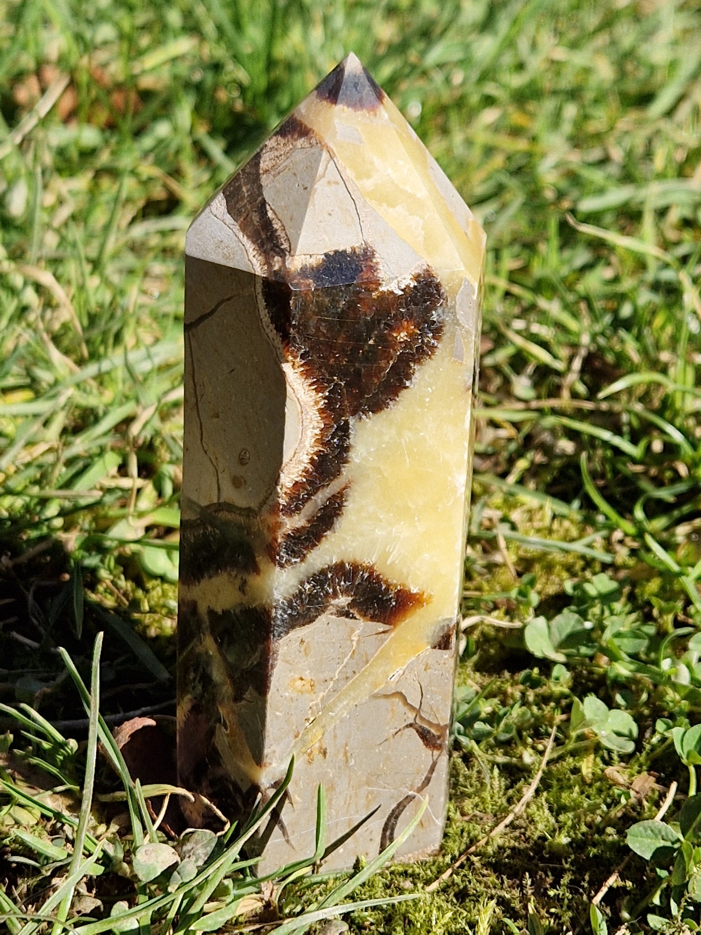 Pointe Septaria A