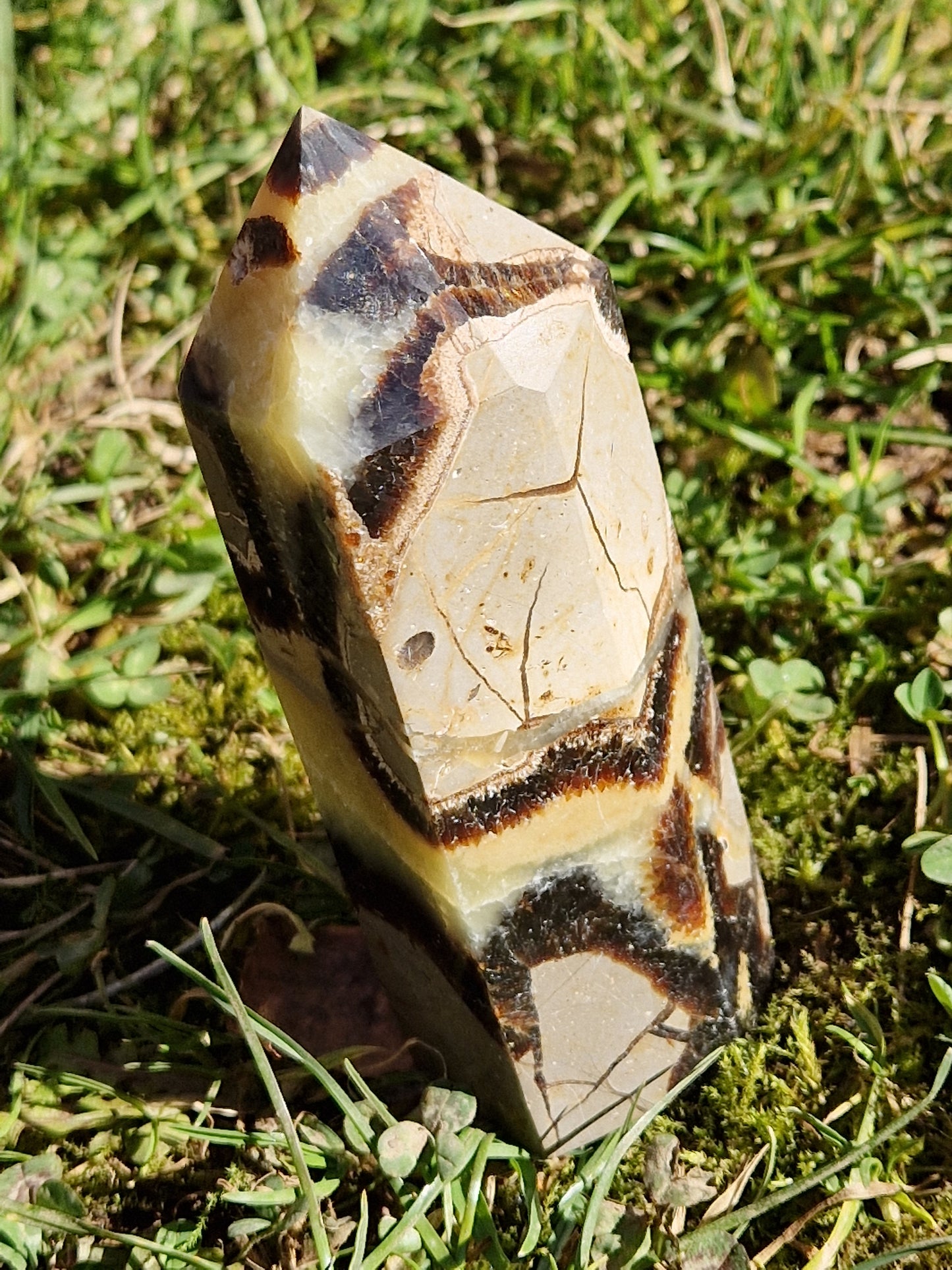 Pointe Septaria A