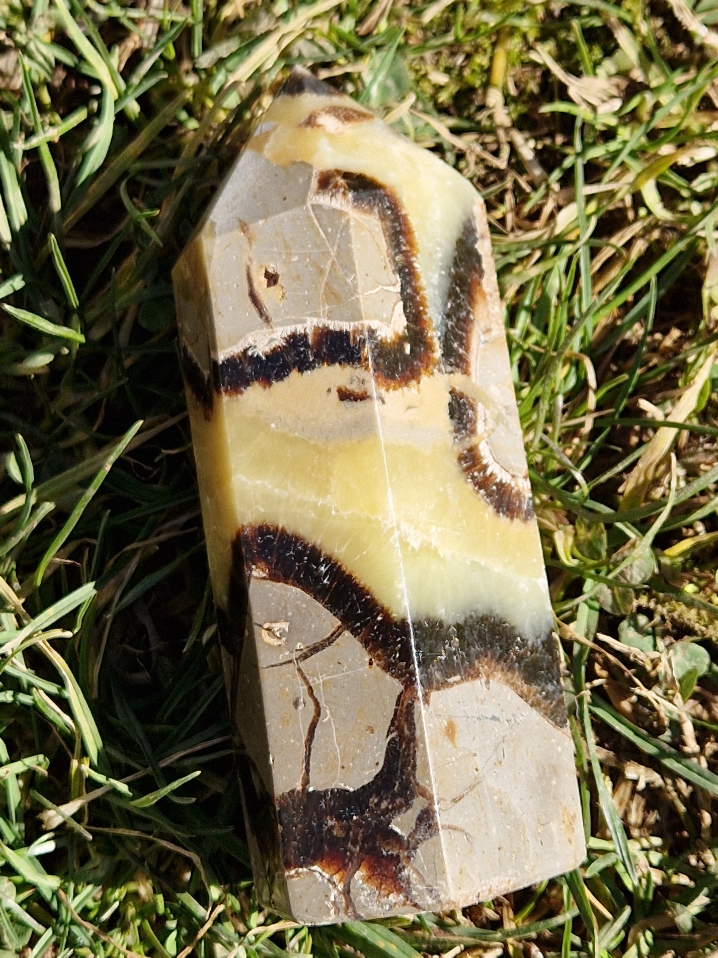 Pointe Septaria A